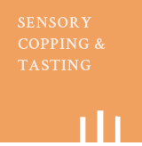 �������ν��÷��͸�